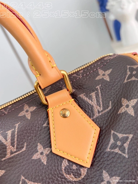 Official oldcobbler SPEEDY Louis Vuitton 25 0815